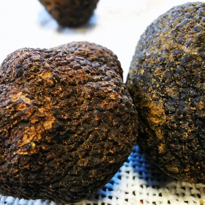 Gros plan sur deux truffes noires