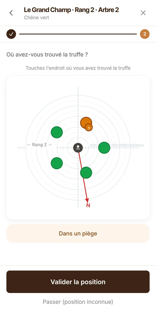 Écran TrufTerra : position de la truffe trouvée autour de l'arbre